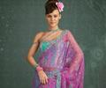 Pakistani sarees