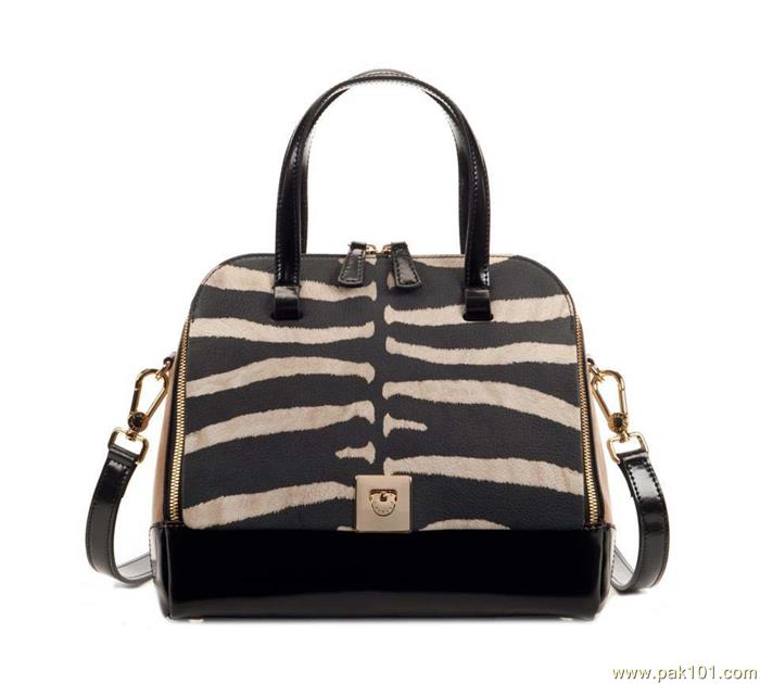 Pakistani Women Handbags