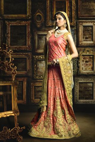 Guddu & Shani''s Photography