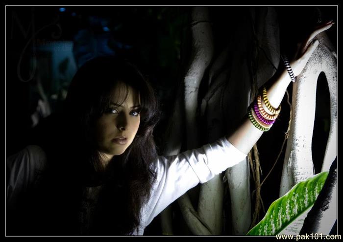 Mohammad Junaid''s Photography