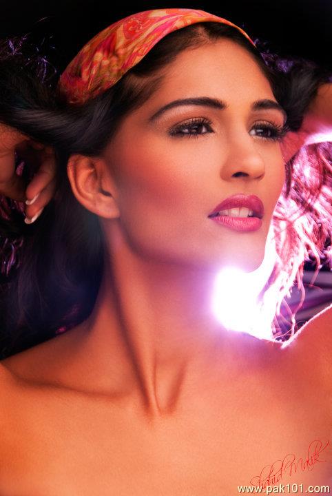 Shahid Malik Photography