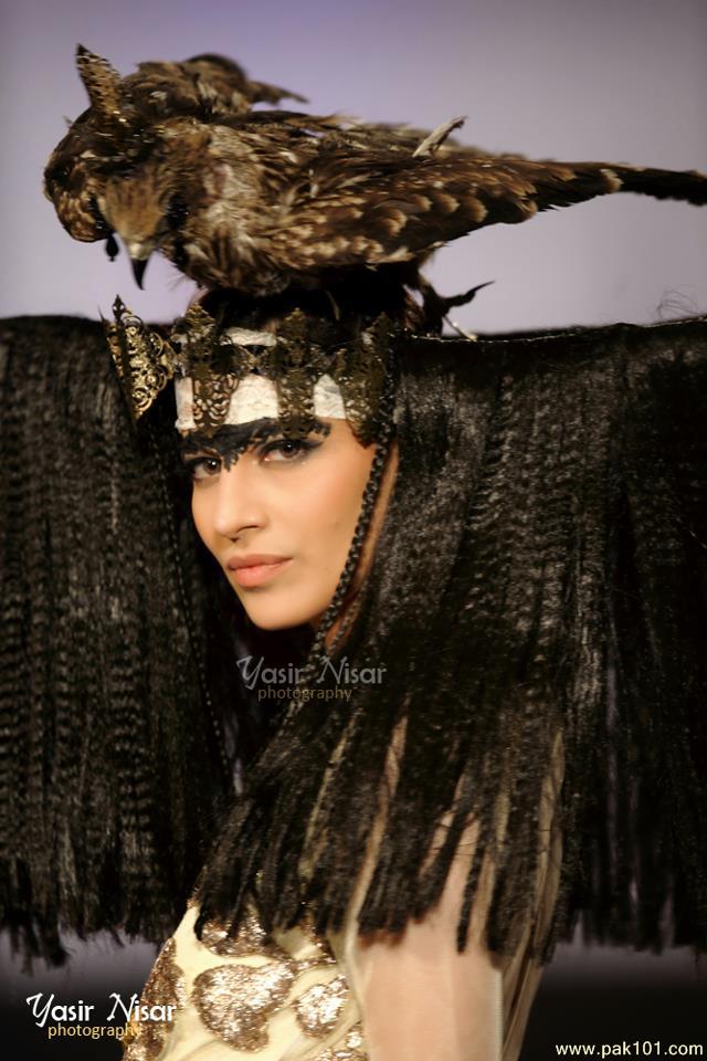 Yasir Nisar Photography