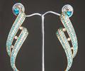 Earrings Jewellery