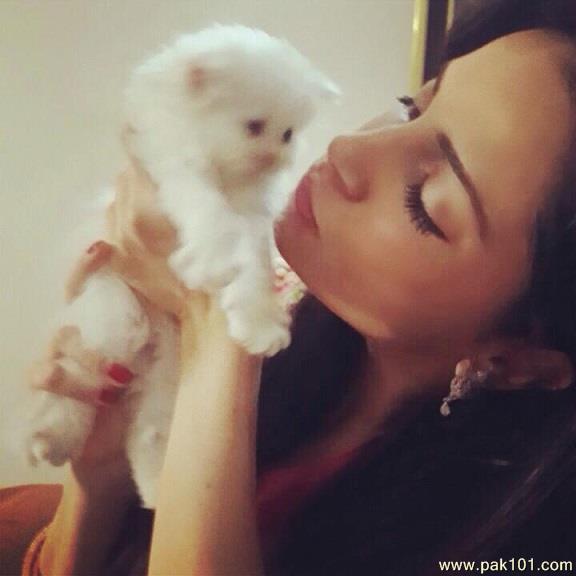 Armeena Rana Khan -Pakistani Female Fashion Model