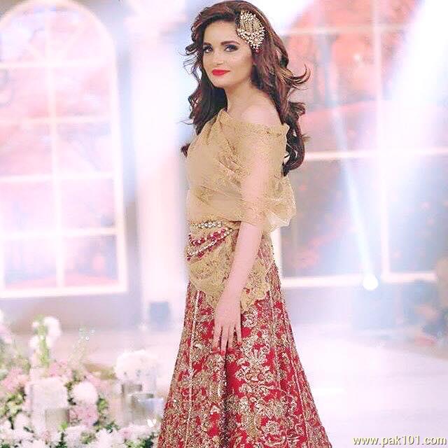Armeena Rana Khan -Pakistani Female Fashion Model