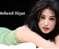 Mehwish Hayat