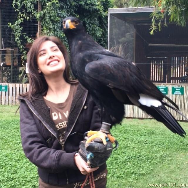 Mehwish Hayat -Pakistani Female Model and Television Actress