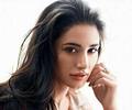 Nargis Fakhri