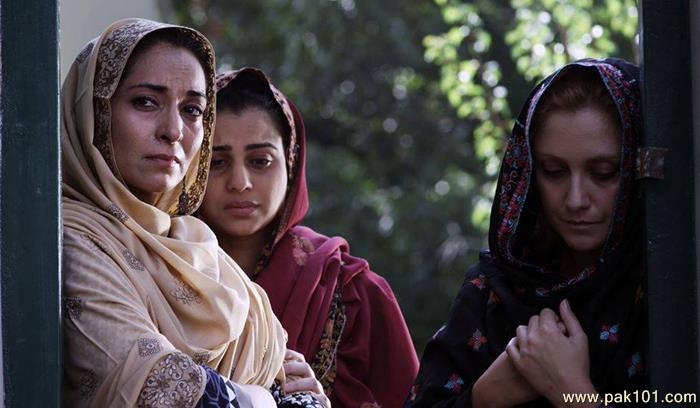 Revenge of the Worthless -Pakistani Movie
