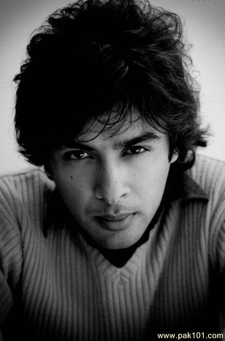 Shehzad Roy 