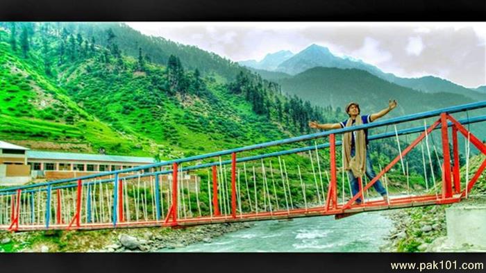 Shehzad Roy -Pakistani Male Singer Celebrity