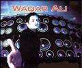 Waqar Ali