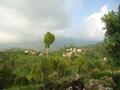 AbbotAbad Heights