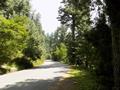Abbottabad, Nathiagali Road