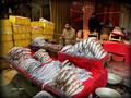 Fresh Fish Shop, Jhang Bazar Lyallpur (Faisalabad)