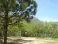 Hiking Trail No. 6, Margallah Hills,  Islamabad