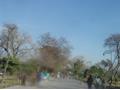 Ayub National Park, Rawalpindi