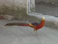 Bird''s Paradise Shah Allah Ditta, Islamabad