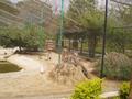 Marghazar Zoo, Islamabad
