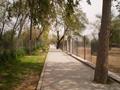 Marghazar Zoo, Islamabad