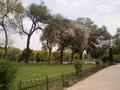 Japanese Park, Islamabad