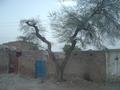 Village, Punjab, Pakistan