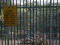 Karachi Zoo