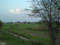 Green Fields Punjab