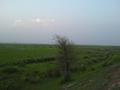 Green Fields Punjab