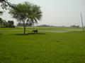 the buety of punjab green fields