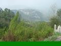 Murree