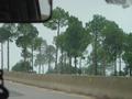 Murree Expressway