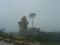 View from Murree Express Highway