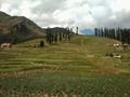 Lalazar, Naran, Kaghan Valley, KPK