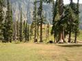 Lalazar, Naran, Kaghan Valley, KPK