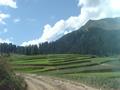 Way to Lalazar Valley, Naran, KPK