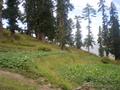 Lalazar, Naran, Khyber Pakhtunkhwa