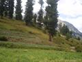 Lalazar, Naran, Khyber Pakhtunkhwa