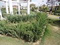 Yousaf Raza Gillani Park - Quetta