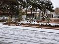 Snow fall in Quetta after 12 years