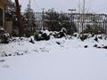 Snow fall in Quetta after 12 years