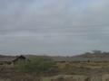 Poultry Farm Sheds, Near Winder, Balochistan