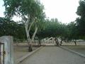 Park Entrance Gadani