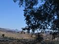 Landscape near Kalat