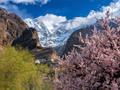 This is Hunza Valley with Baltit Fort & Ultar Peaks
