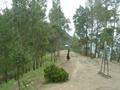 Shimla Hills, Abbottabad, Pakistan