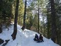 Mushkpuri track, Nathia Gali, Khyber Pakhtunkhwa