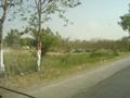 Graveyard, Haripur Road
