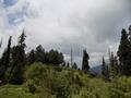 Mushkpuri Hiking Track, Nathiagali, KPK