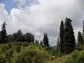 Mushkpuri Hiking Track, Nathiagali, KPK